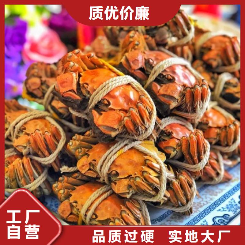 同城(顾记)鲜活特大螃蟹的价格