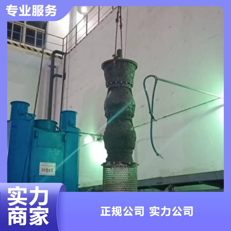 湛江咨询市水下检测服务公司