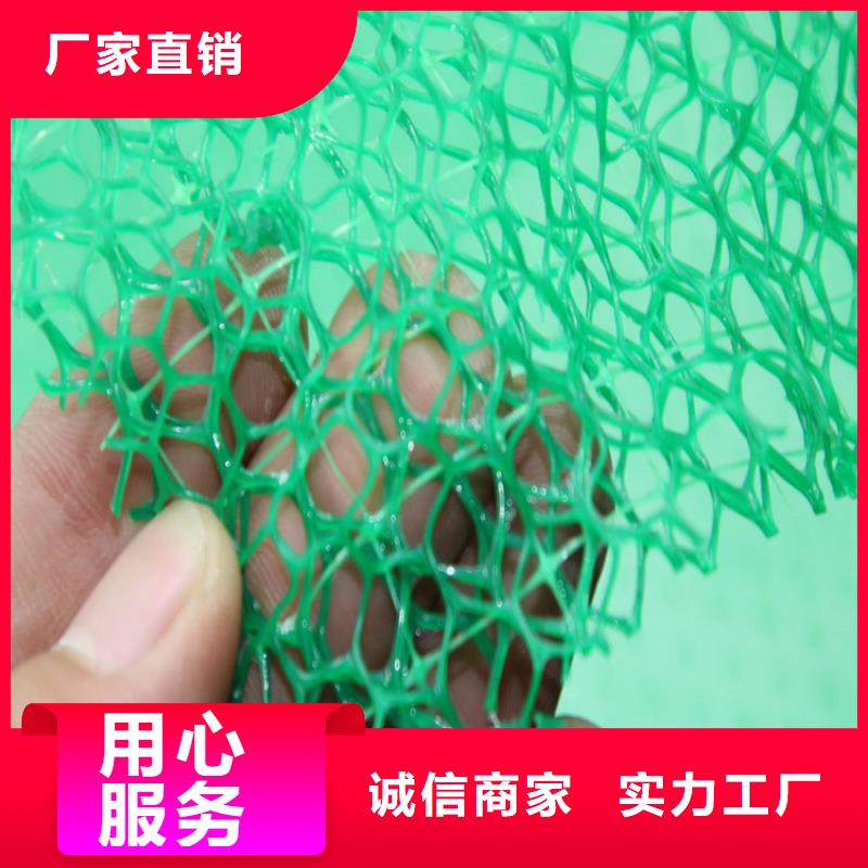 应用领域【鼎诺】三维固土网垫铺设方法