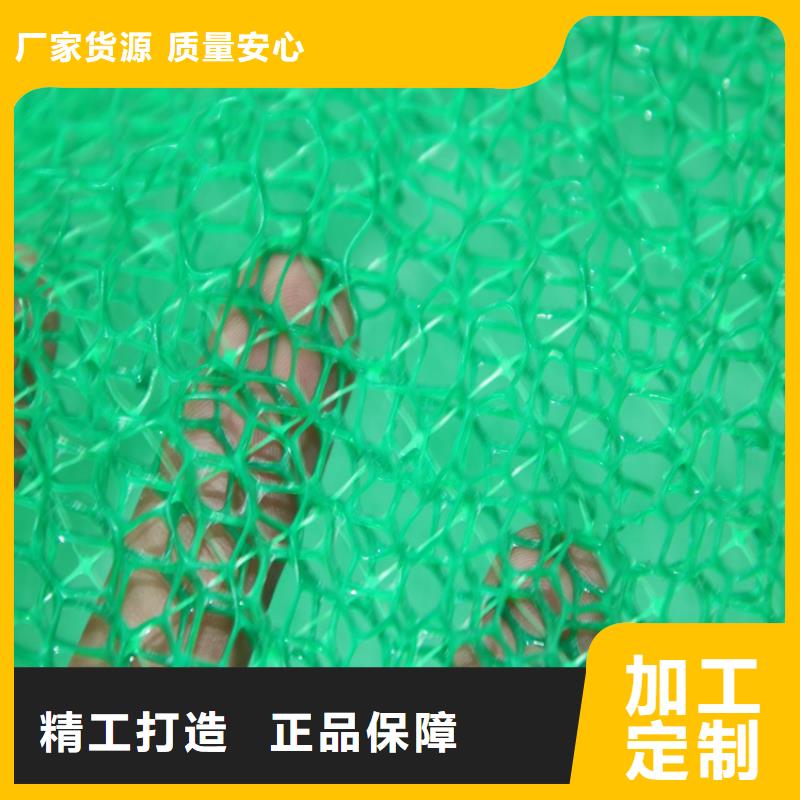 应用领域【鼎诺】三维固土网垫铺设方法