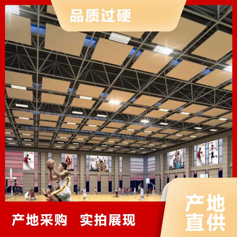 江苏省订购《凯音》学校体育馆声学改造方案--2024最近方案/价格