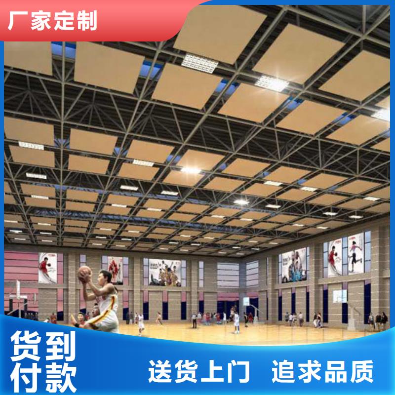 广东省东莞市东城街道学校体育馆声学改造价格--2024最近方案/价格