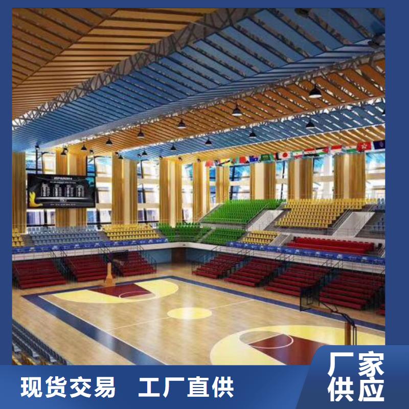 广东省东莞市东城街道学校体育馆声学改造价格--2024最近方案/价格