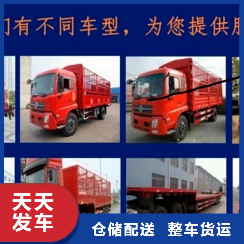 成都到亳州全程高速[国鼎]回头车货运公司更新至2024省市县一站派送 