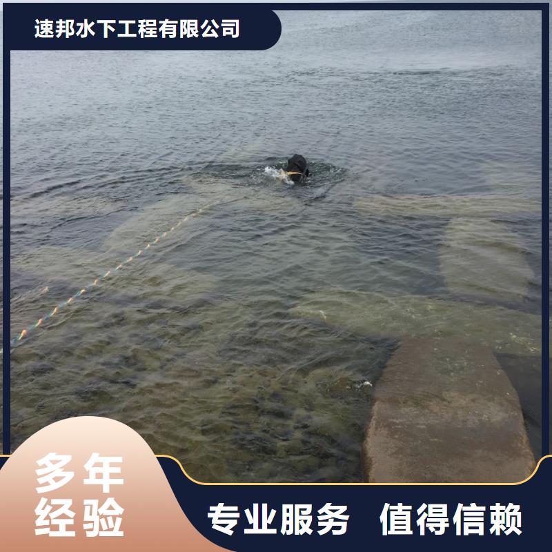 (速邦)天津市潜水员施工服务队-想方案