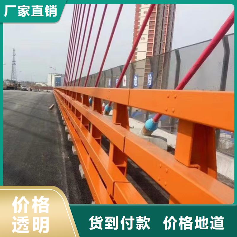 专注质量【神龙】桥梁钢栏杆定制