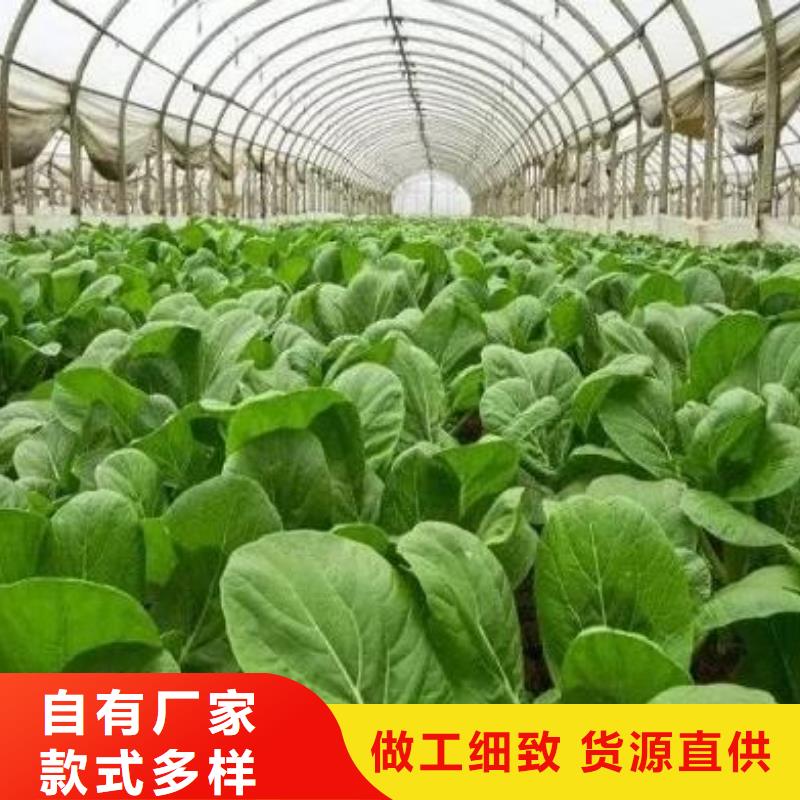 《济宁》购买羊粪有机肥质量不赖