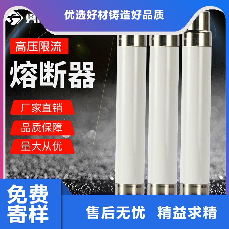 XRNM1-10/100A高压熔断器订购<樊高>